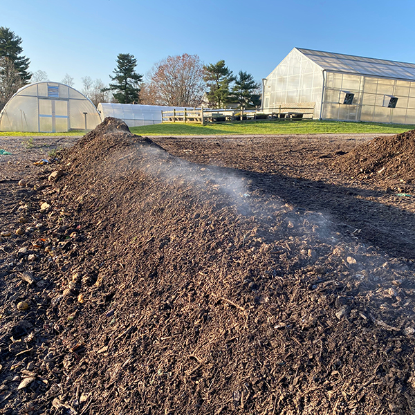 Compost Piles