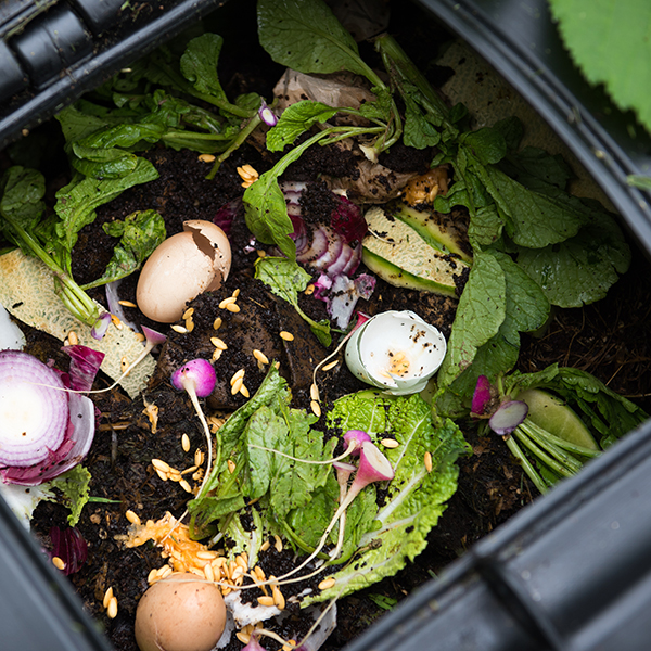 Composting at Home